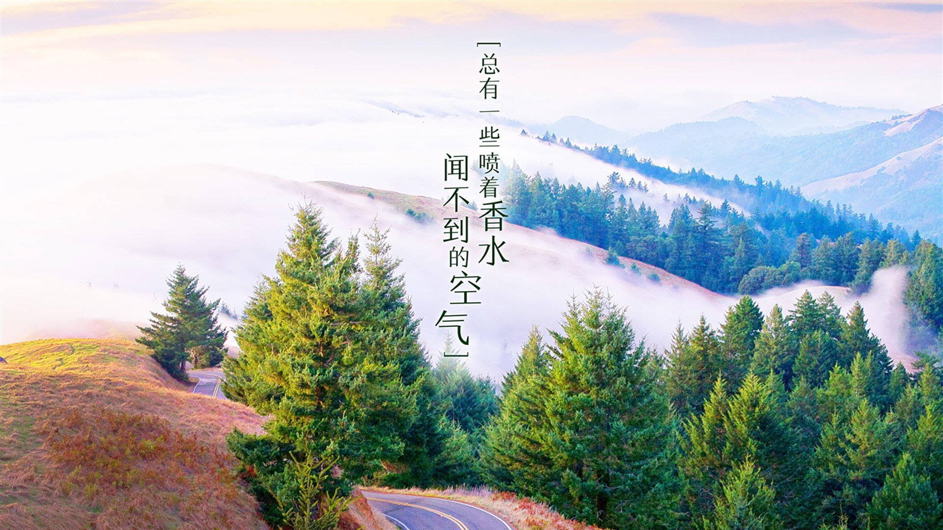 开云在线-阿根廷3-1逆转巴西,晋级美洲杯四强,阿根廷3-1逆转巴西,晋级美洲杯四强
